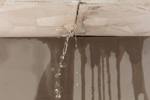 Professional Structural Drying technician working in Roseville, CA